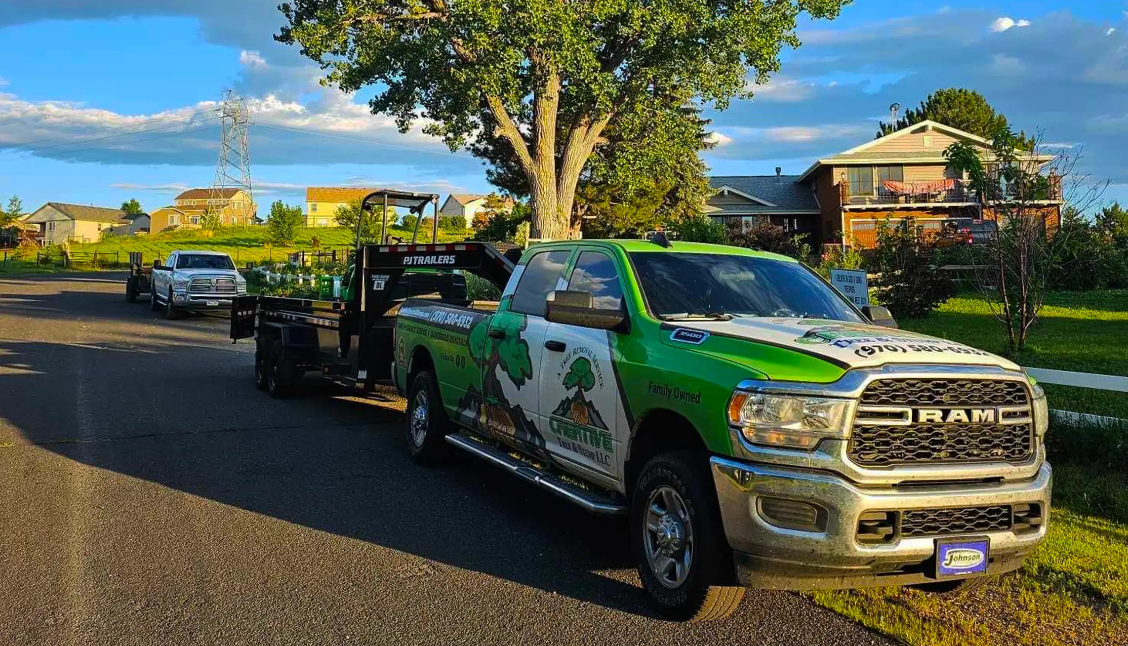 emargency tree service fast tree removal