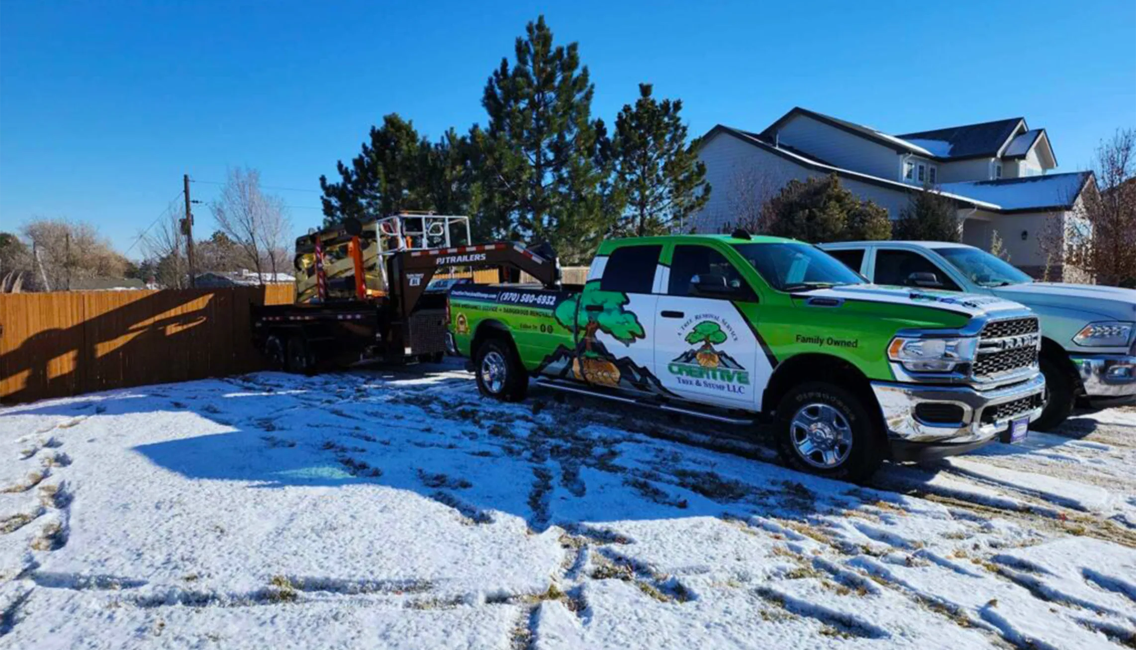 expart tree cutting removal service denver colorado