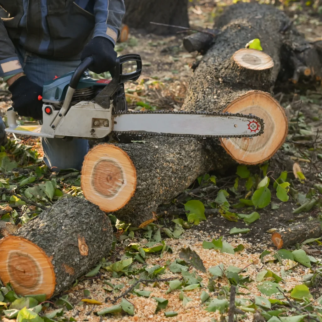 Commerce City 1 Emergency Tree Removal in Commerce City tree removal erie
