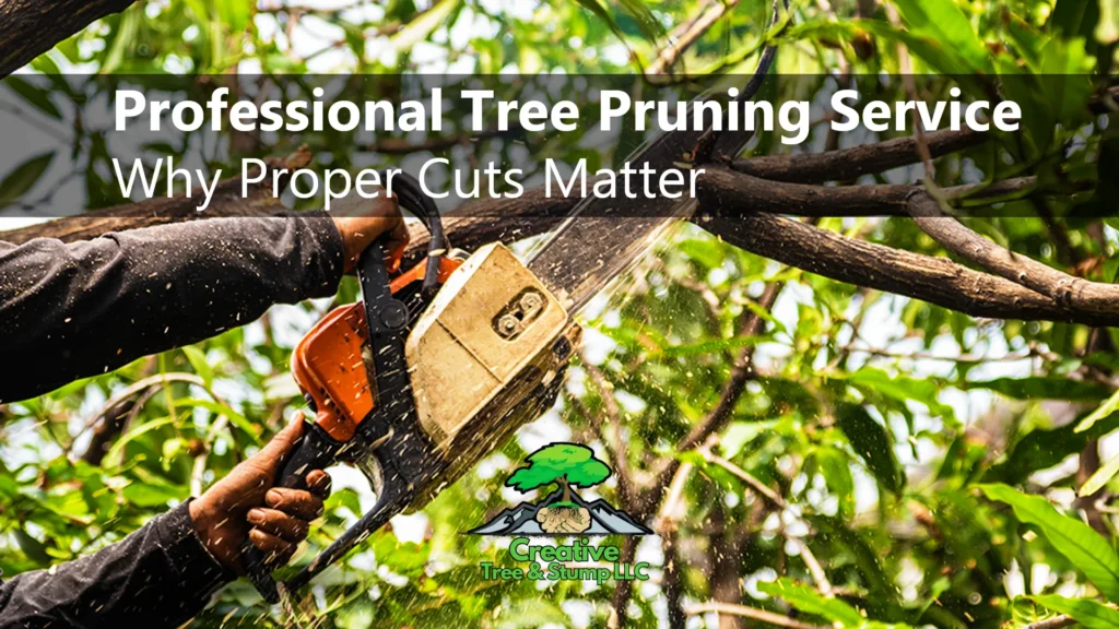 tree pruning