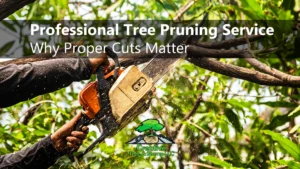 Professional Tree Pruning Services Why Proper Cuts Matter creative tree stump removal 1