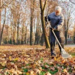 Spring Cleanup Guide:…