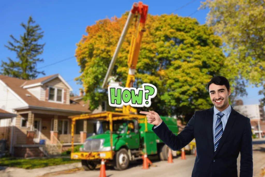 How Much Does Tree Removal Cost? Breaking Down Prices in 2025 1 How Much Does Tree Removal Cost Breaking Down Prices in 2025