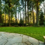 Tree Removal vs.…