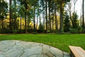Tree Removal vs. Tree Trimming