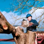Tree Removal vs.…