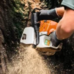 Affordable Tree Removal…