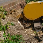 Stump Grinding and…