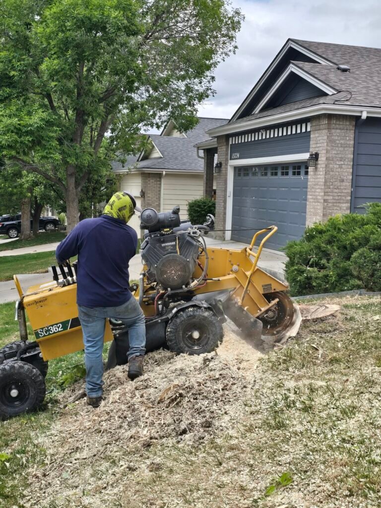 Creative Tree & Stump crew grinding a stump in Brighton, Colorado