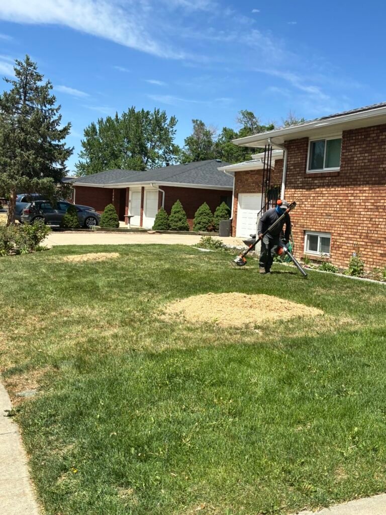 Worker blowing sawdust clean after stump grinding
