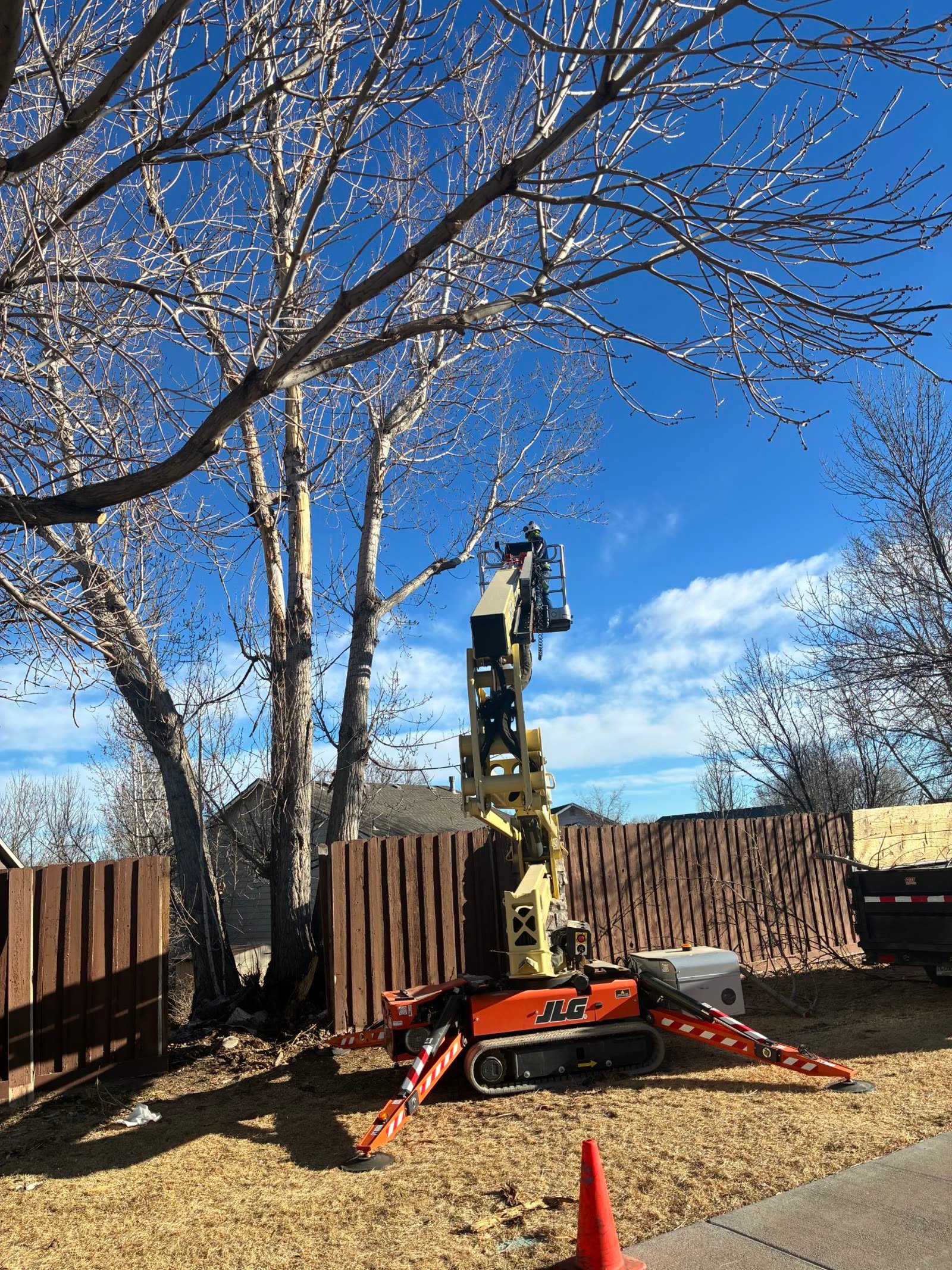 Arborist trimming a tree from a spider lift in a Colorado backyard