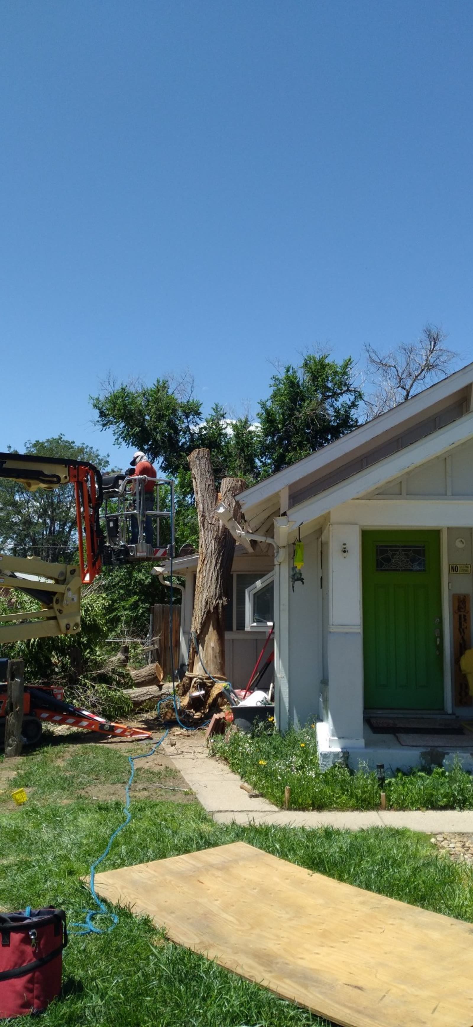 Arborist in a lift bucket on a dead tree removal