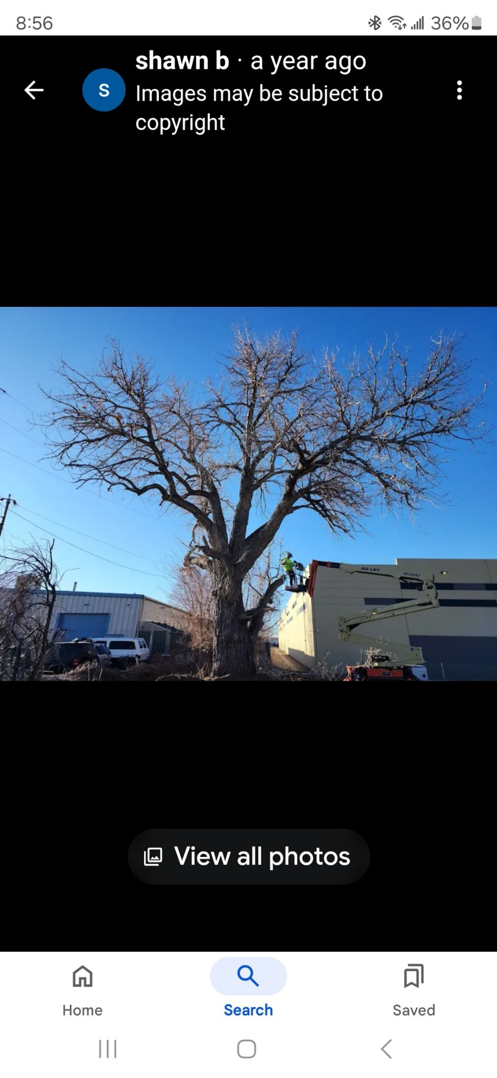 Creative Tree & Stump truck and trailer at a cottonwood job