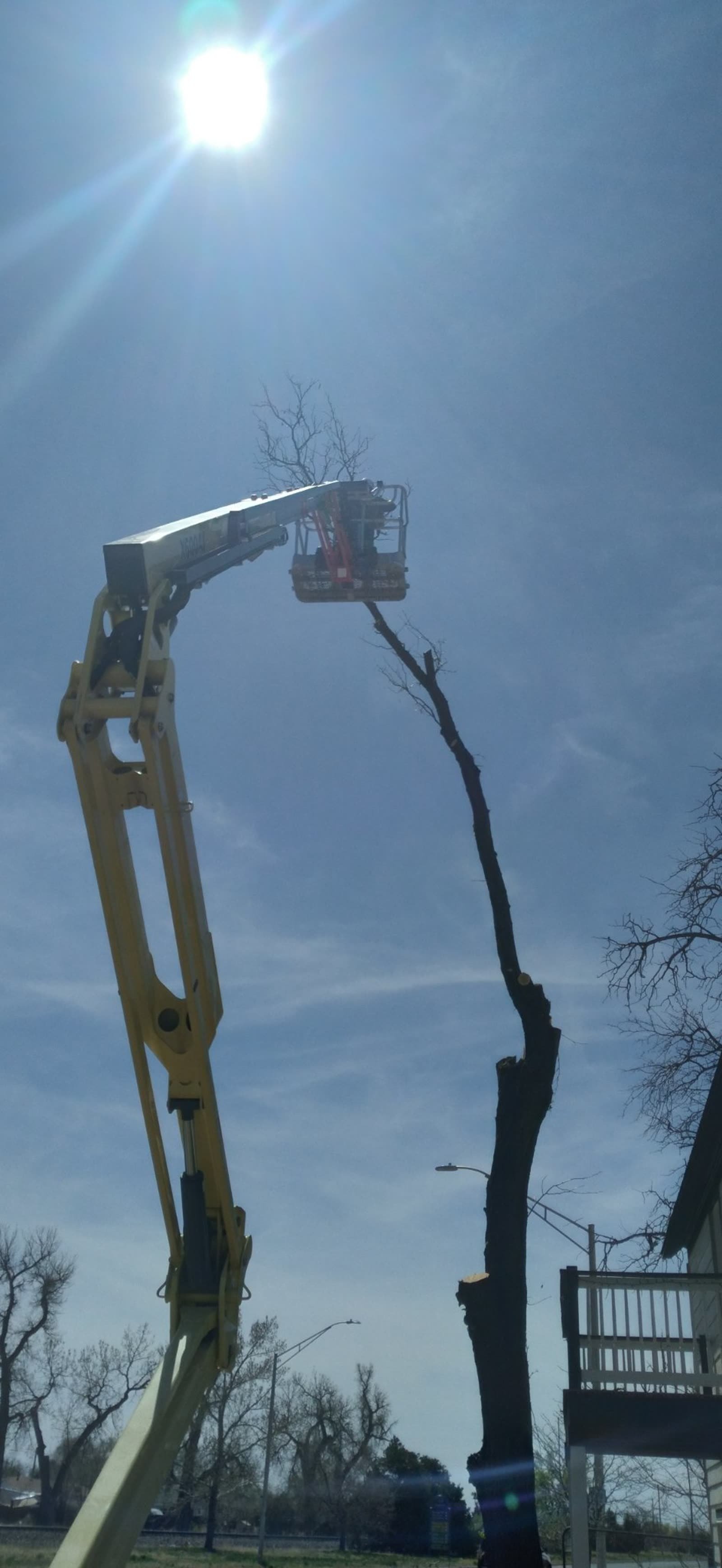 Topping a dead tree spar from a lift