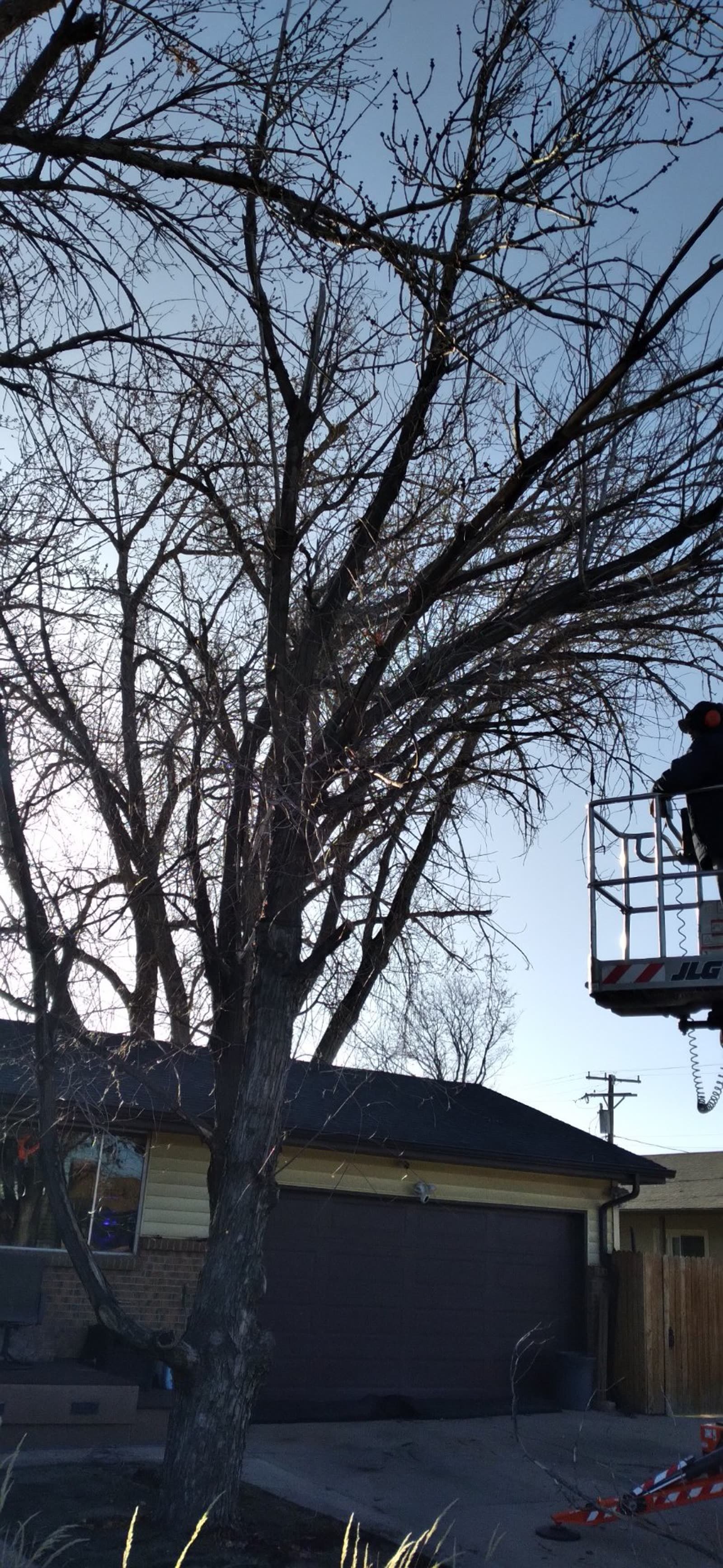 Trimming a tree near a house from a lift bucket