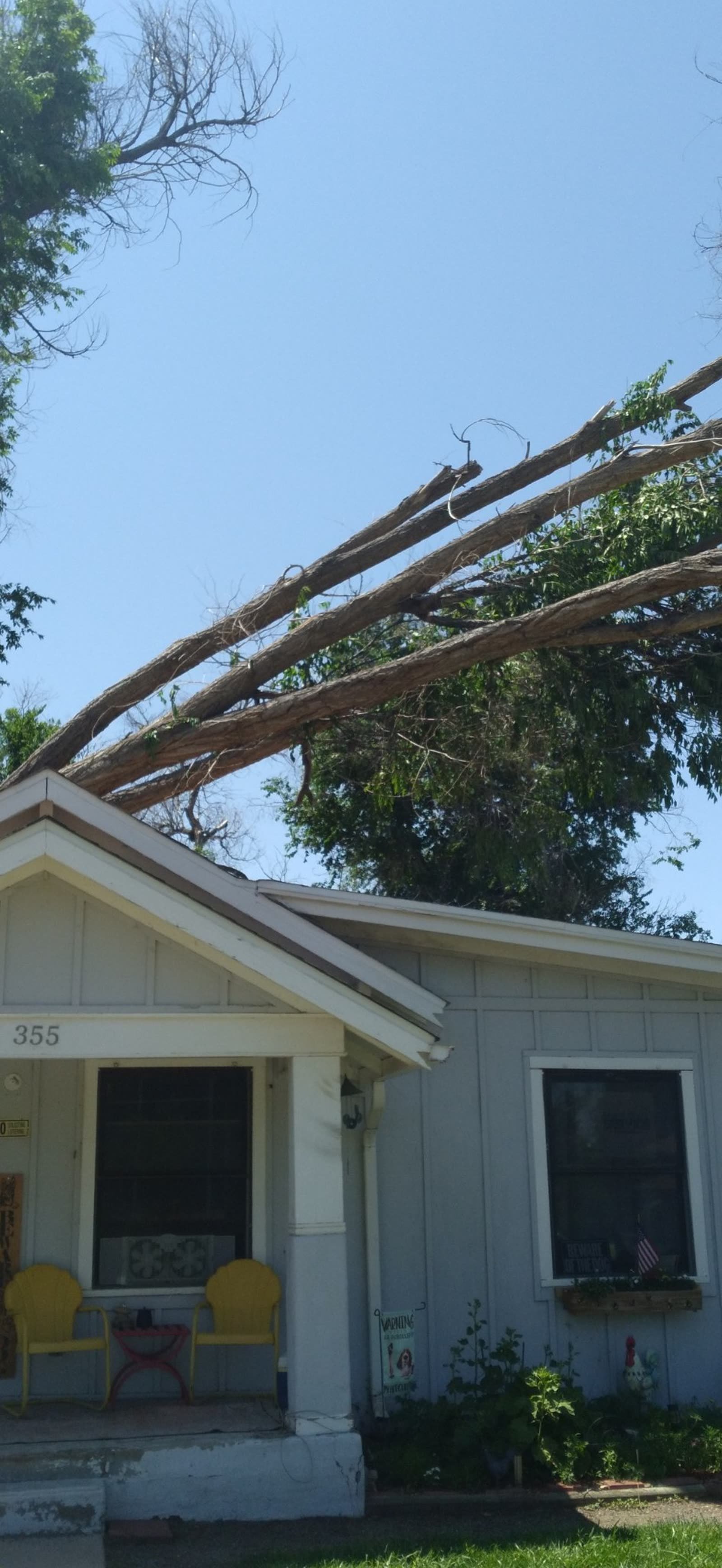 Storm-fallen branches on a house roof before cleanup