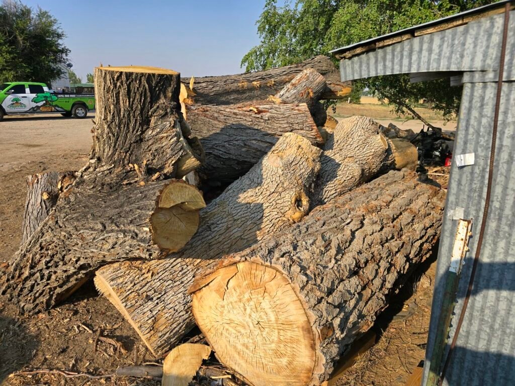 Pile of logs from a removal with the branded truck