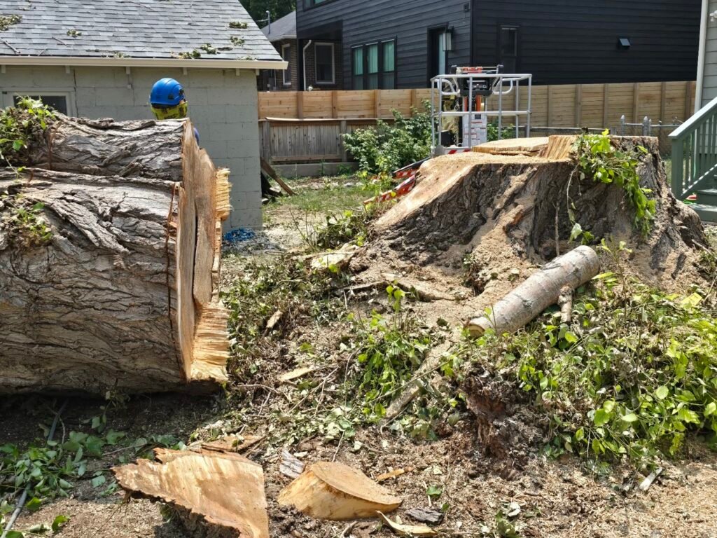 Worker with a felled tree trunk on a job site