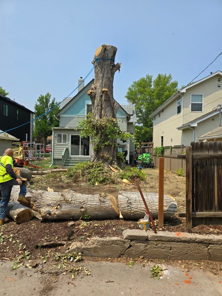 Rigged tree spar being taken down with crew and lift
