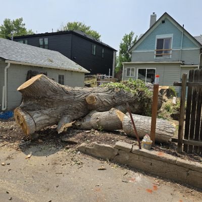 FIRE MITIGATION 13 2024-07-28