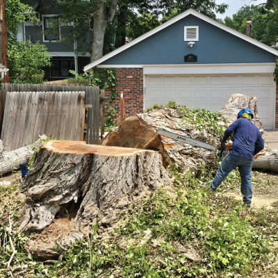 Emargency-tree-removal-denver