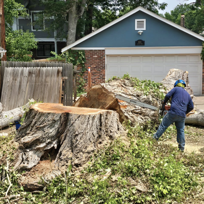 FIRE MITIGATION 9 Emargency-tree-removal-denver