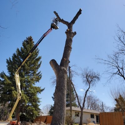 FIRE MITIGATION 12 processed-1bce5f21-4d05-481a-ac0b-ab8aff7063e3_IiEow9l3