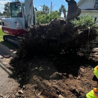 Emergency Tree Services 13 processed-9d6acf7b-55ad-458e-9655-075ed253ad86_3RcqUzQ0